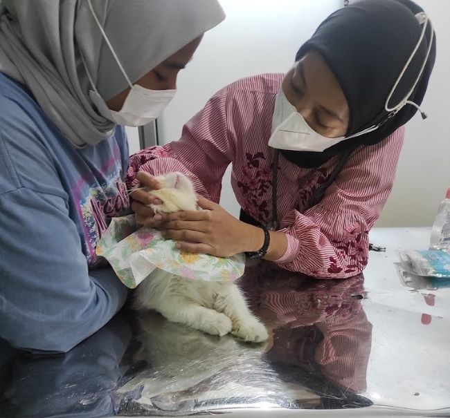Dania Pet Care Dokter Hewan Bandar Lampung - Photo by Google