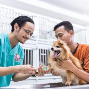 Dokter Hewan Balikpapan - Photo by Google