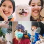 Dokter Hewan Bandung - Photo by Gloriavet Instagram