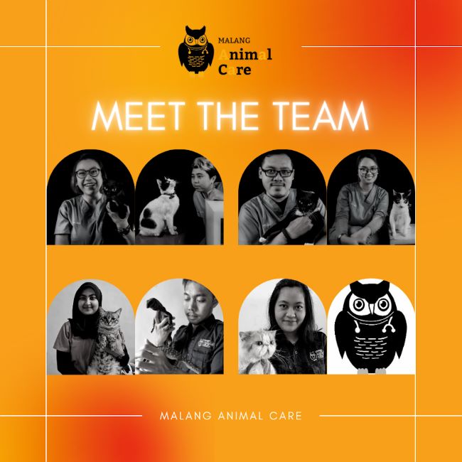 Dokter Hewan Malang Animal Care - Photo by Official Site