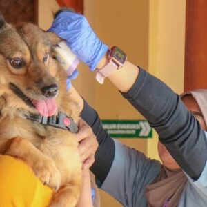 Dokter Hewan Medan - Photo by Ketahanan Pangan Site