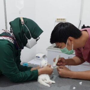 Dokter Hewan Palembang - Photo by Wonder Pet Palembang Google