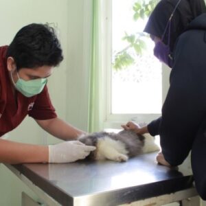 Dokter Hewan Semarang - Photo by Sikewan Semarang Site