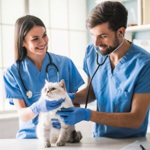 Dokter Hewan Wonogiri