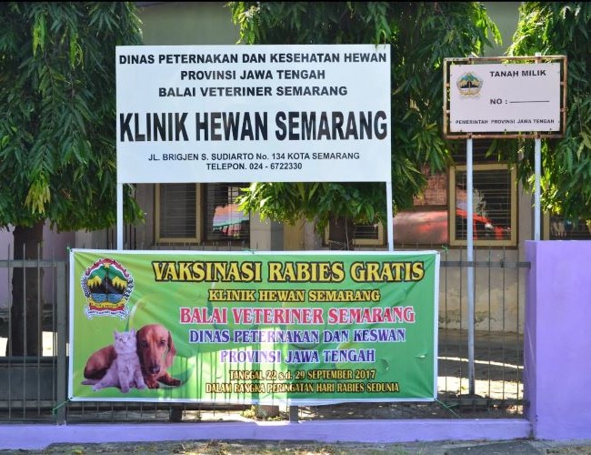 Klinik Hewan Pemerintah Kota Semarang Dokter Hewan Semarang - Photo by Google