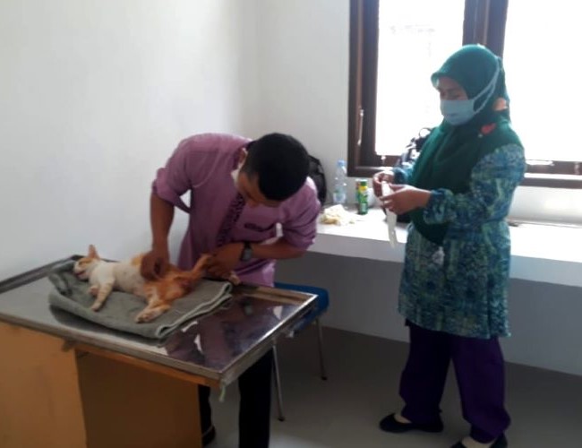 Pelkeswan Tenayan Dokter Hewan Pekanbaru - Photo by Media Center Riau
