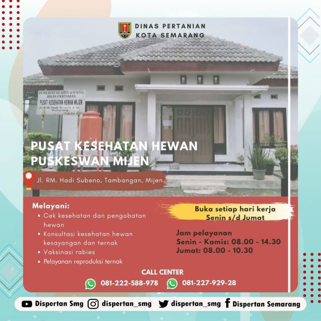 Puskeswan Mijen Dokter Hewan Semarang - Photo by Facebook