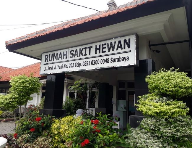 RS Hewan Disnak Provinsi Jawa Timur Dokter Hewan Surabaya - Photo by Google