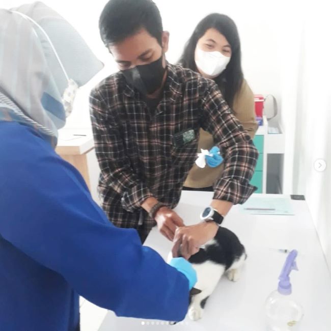 RS Hewan Provinsi Sumatera Selatan Dokter Hewan Palembang - Photo by RS Hewan Sumatera Selatan Instagram