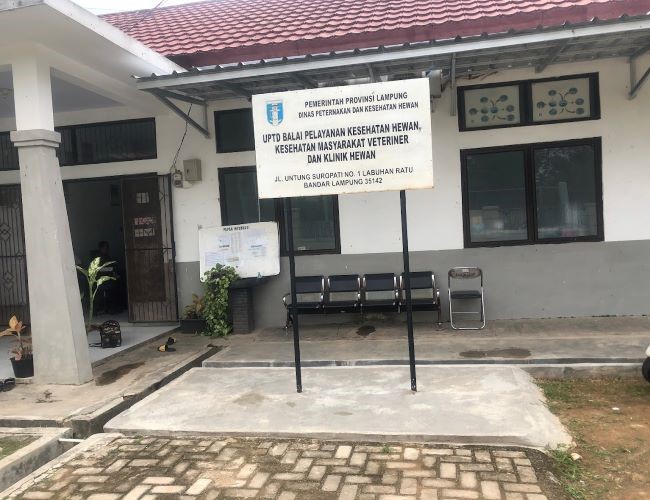UPTD Balai Pelayaan Kesehatan Hewan Dokter Hewan Bandar Lampung - Photo by Google
