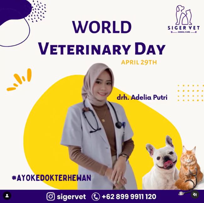 drh. Adelia Putri Dokter Hewan Bandar Lampung - Photo by Siger Vet Instagram