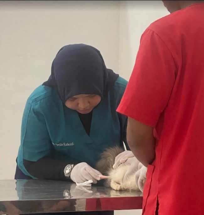 drh. Aprilia Ratnanti Dokter Hewan Bandar Lampung - Photo by Google