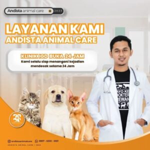 drh. Benny Andista Dokter Hewan Jakarta Barat - Photo by Andista Animal Care Instagram