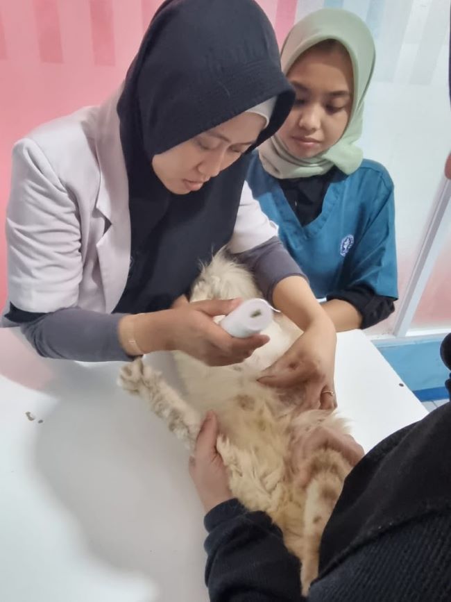 drh. Eka Noerhayati Dokter Hewan Bogor - Photo by Google