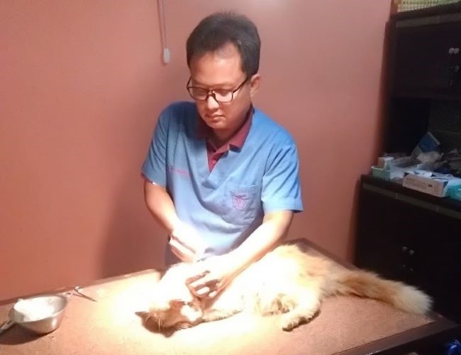 drh. Heru Setiawan Dokter Hewan Bandar Lampung - Photo by Google