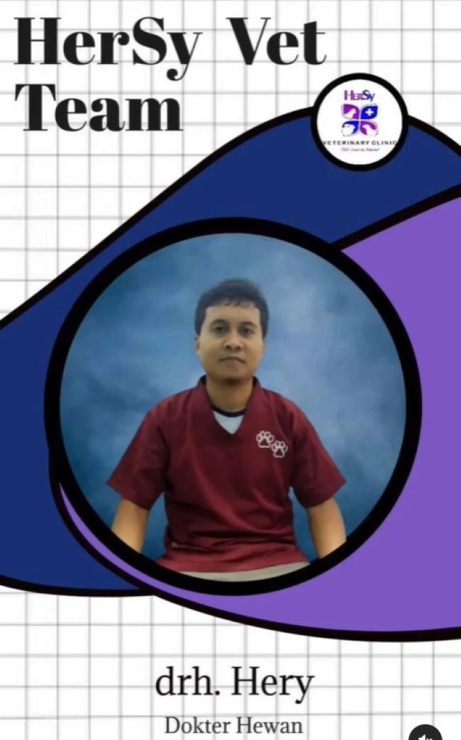drh. Hery Setiawan Dokter Hewan Palembang - Photo by Hersy Vet Clinic Instagram