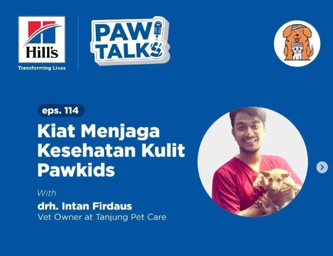 drh. Intan Firdaus Dokter Hewan Bandar Lampung - Photo by Tanjung Pet Instagram