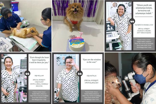 drh. Natalia, drh. Mellany, drh. Rebecca Dokter Hewan Surabaya - Photo by Instagram
