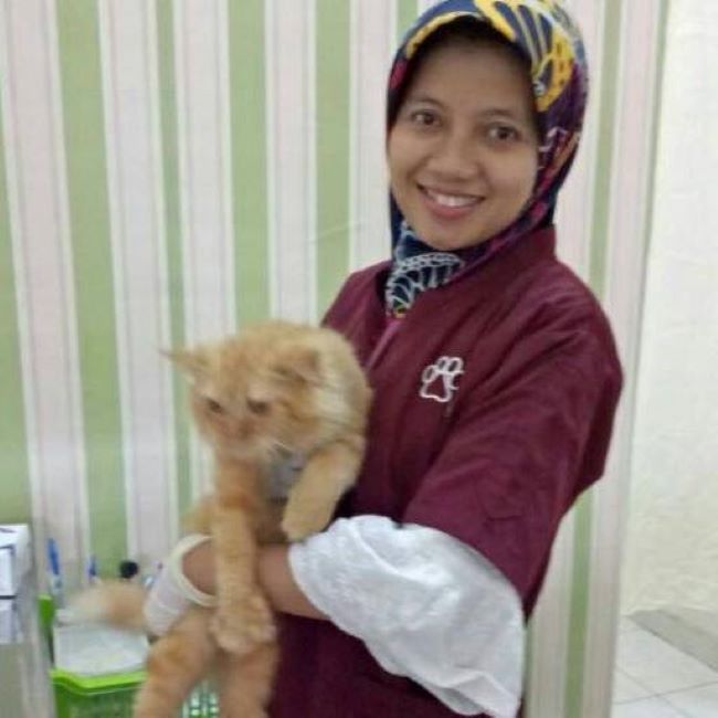 drh. Siwi Dokter Hewan Palembang - Photo by Facebook