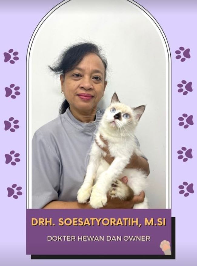 drh. Soesatyoratih, M.SI Dokter Hewan Bogor - Photo by Klinik Hewan Cimanggu Instagram