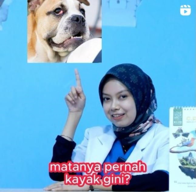 drh. Titi Novianti Dokter Hewan Jakarta Barat - Photo by Bless Vet Clinic